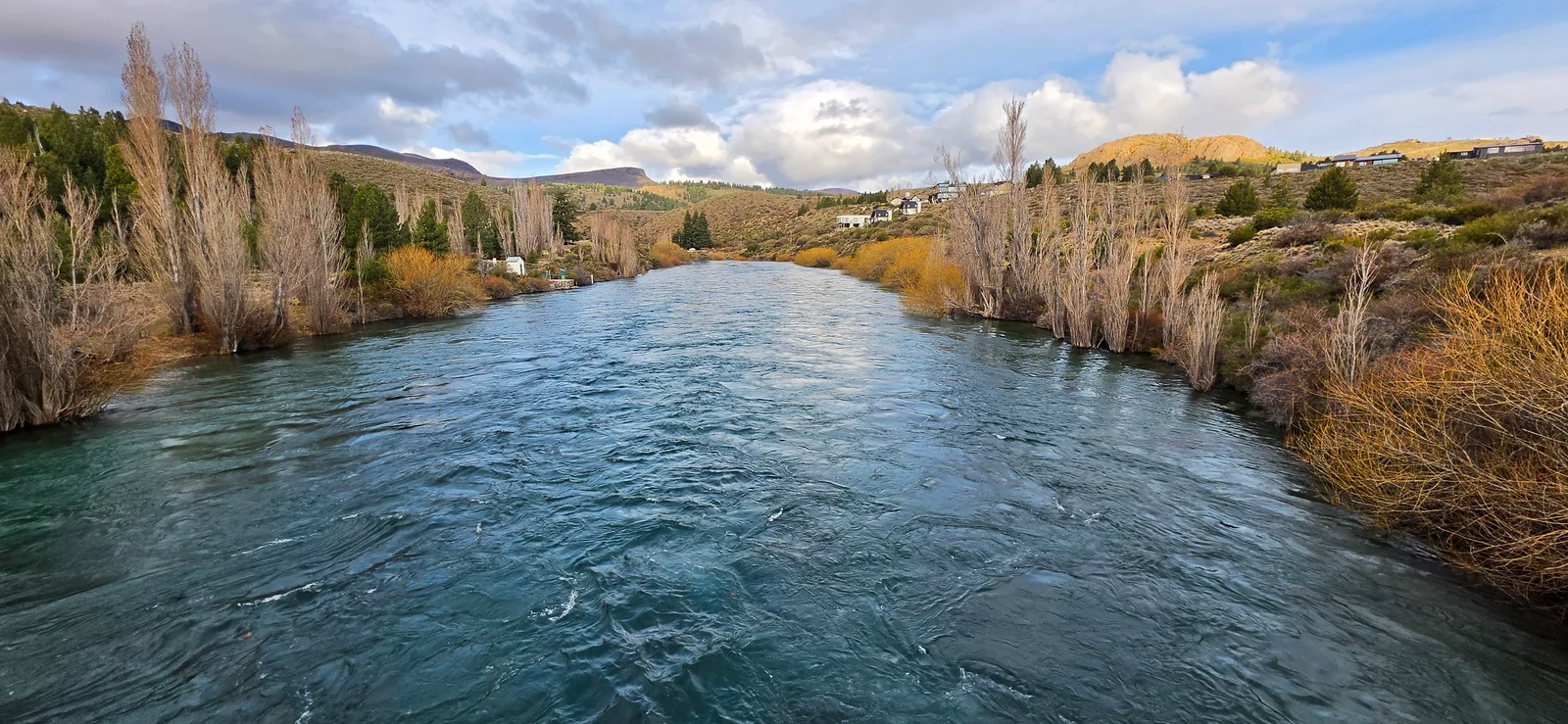 Spring flow on the Limay River near Bariloche, with willows lining both banks beneath a cloudy sky