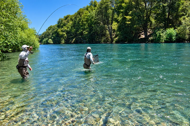 Pescadores vadeando agua clara junto a una costa boscosa