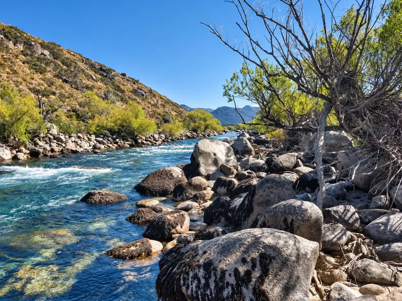Río de agua clara que corre entre grandes rocas y una costa arbolada en Patagonia