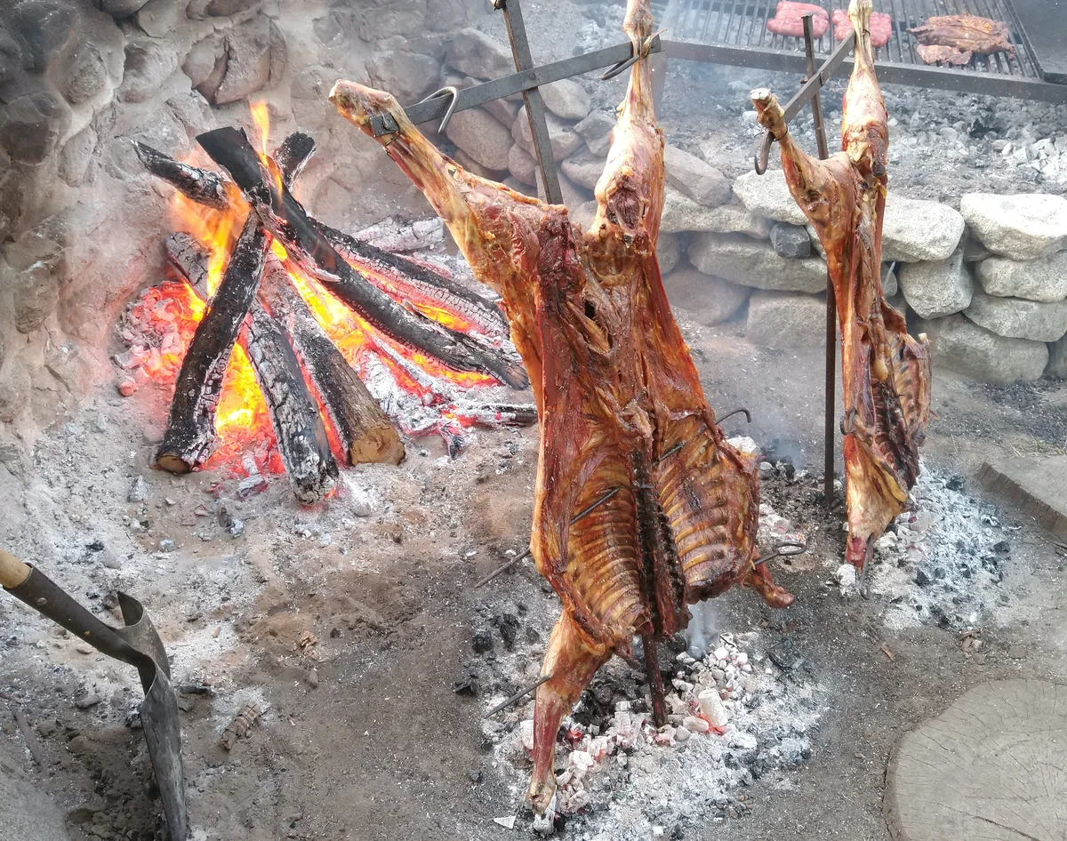 Patagonian lamb cooking over an open fire, part of the local cuisine on an all-inclusive fishing holiday