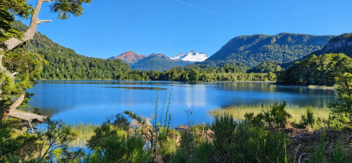 Vista del lago Fonck, con juncos, bosque nativo y montañas nevadas al fondo, cerca de Bariloche, Patagonia Argentina.