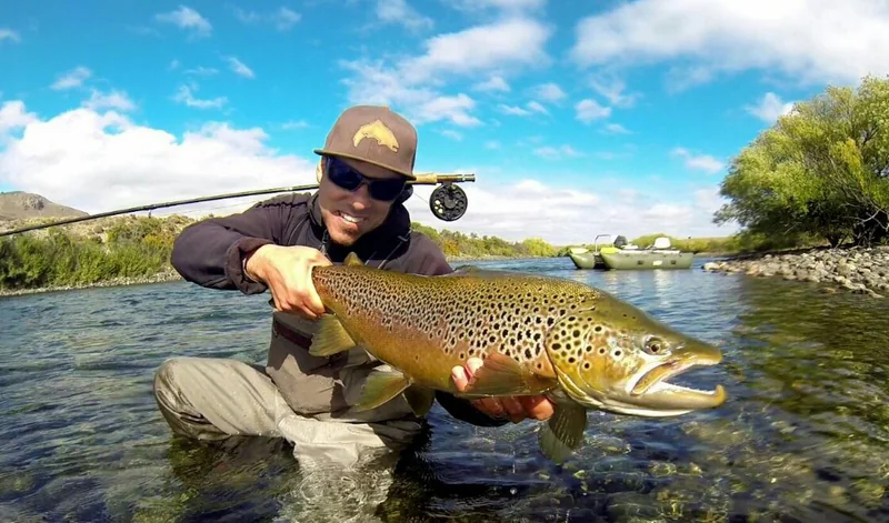 Angler holding a large brown trout while fly fishing on the Limay River, Patagonia