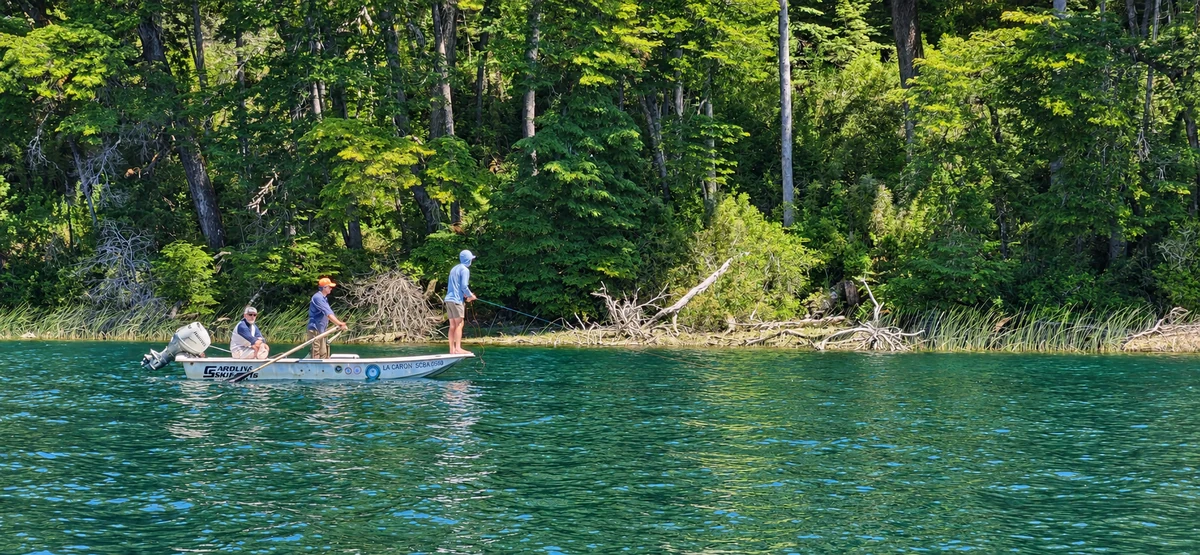 Anglers and their guide fly fishing from a boat along the wooded shore of Lake Roca.